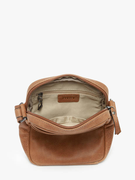 Leather Spider Crossbody Bag Etrier Brown spider ESPI704M other view 3